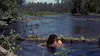 Ours Fou dans La rivière de nos amours (1955)