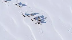 Visuel de La rivière Magpie au Québec : Trésor naturel et patrimoine autochtone