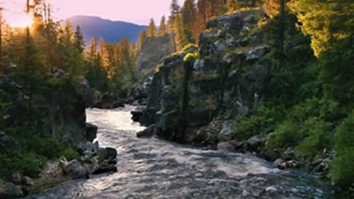 La rivière sans retour
