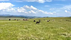 Visuel de La Roumanie sauvage : La Bucovine et les Carpates