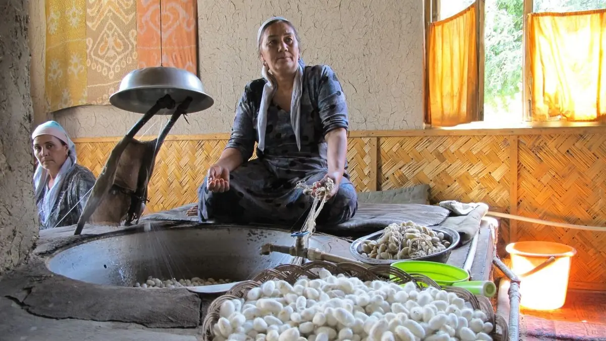 La route de la soie et autres merveilles Ferghana, creuset d'un continent