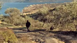 La route des oliviers