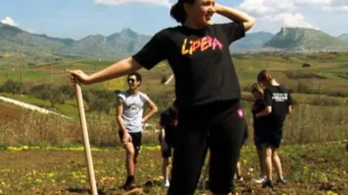 La route des oliviers E03 L'huile, la mafia et la nouvelle Sicile