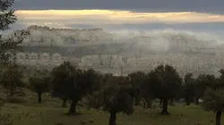 Visuel de La route des oliviers