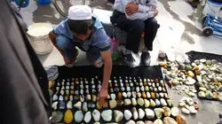 La route des sommets E02 Du Karokorum au Tibet