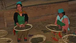 La route des sommets