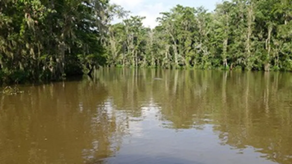 La route du fleuve Mississippi