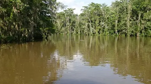 La route du fleuve Mississippi