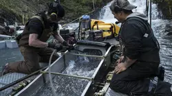 La ruée vers l'or: Dakota Boys