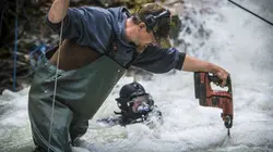 La ruée vers l'or: Dakota Boys