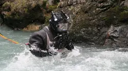 La ruée vers l'or : Dakota Boys  Toujours plus grand