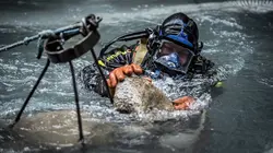 La ruée vers l'or : Dakota Boys  Toujours plus grand