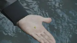 La ruée vers l'or : Dakota Boys Sabotage