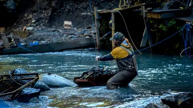 Trop loin pour faire demi-tour