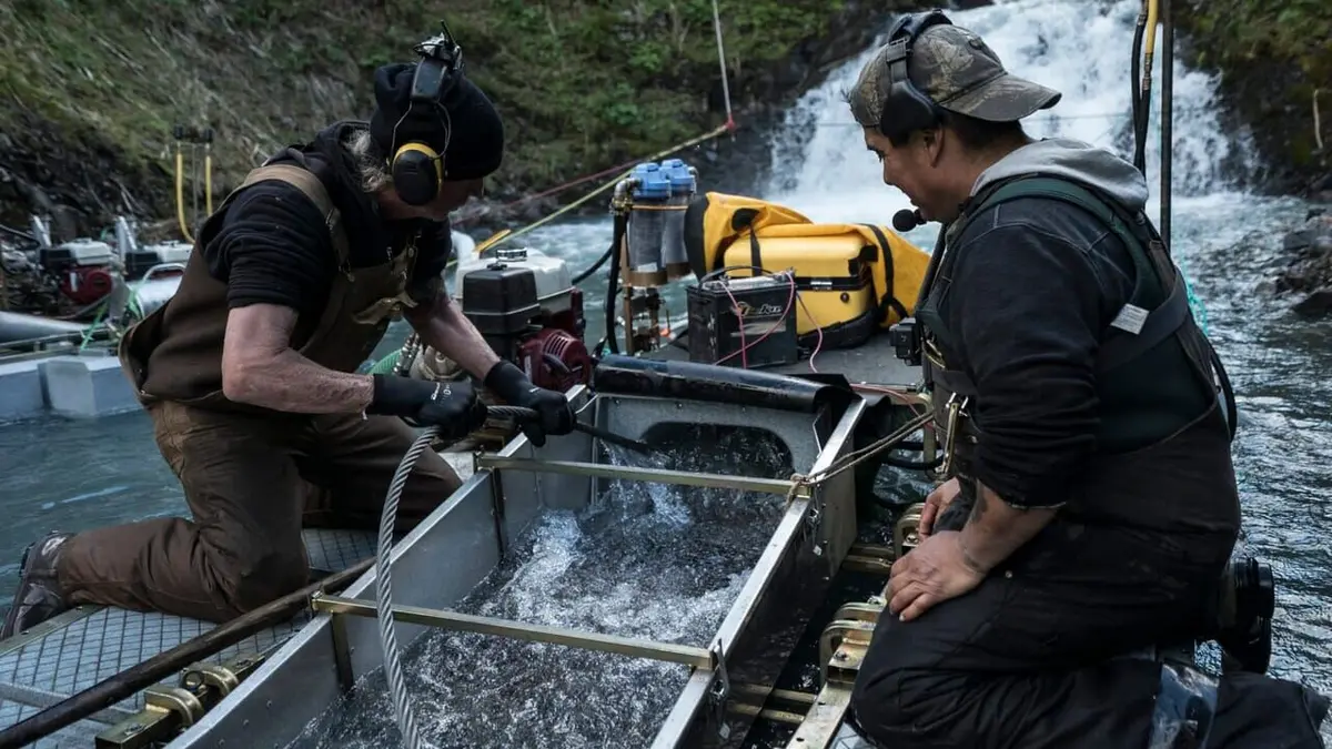 La ruée vers l'or : Dakota Boys Un anniversaire en or
