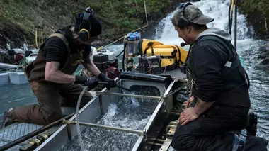 Un anniversaire en or