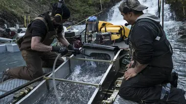 La ruée vers l'or: Dakota Boys Un anniversaire en or