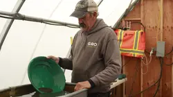 La ruée vers l'or : le défi des Hoffman  Dernière ligne droite