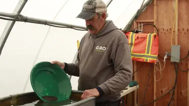 Dernière ligne droite