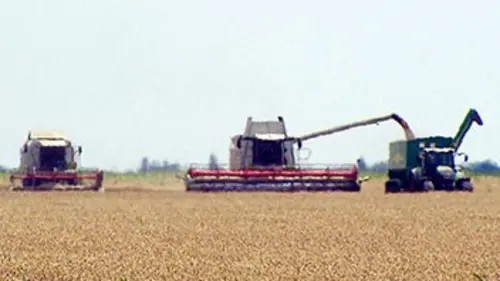 La ruée vers les terres agricoles