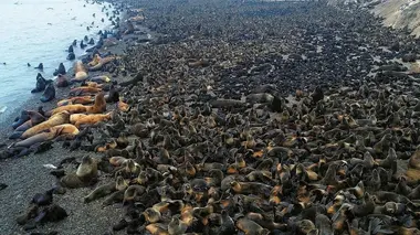 L'Extrême-Orient russe et l'océan Arctique