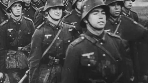 La Schutzstaffel : un Etat dans l'Etat