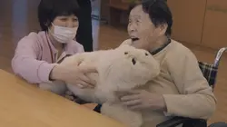 La science des émotions  Créer des émotions artificielles