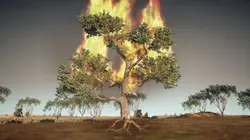 La science des forces de la nature Mega incendies