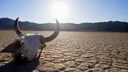 La science des forces de la nature