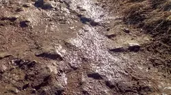 La science des forces de la nature