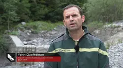 La science des forces de la nature