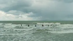 Visuel de La science du bien vieillir