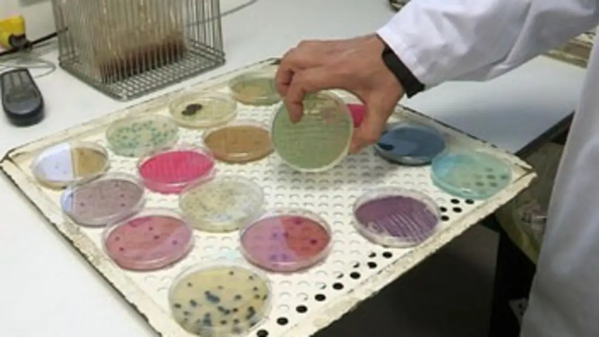 La sécurité alimentaire