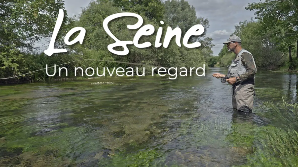 Visuel de La Seine La Seine, un nouveau regard