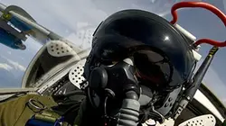 Visuel de La sentinelle du matin