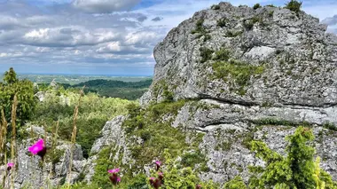 Les rives de l'Oder