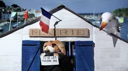 Sur Canal+ à 23h15 : La sociologue et l'ourson