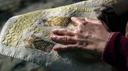 La soie de mer, trésor de Sardaigne