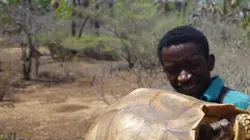 La soie de mer, trésor de Sardaigne