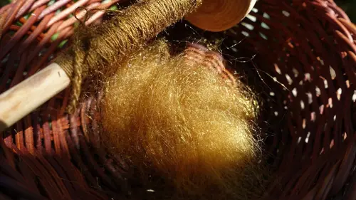 La soie de mer, trésor de Sardaigne