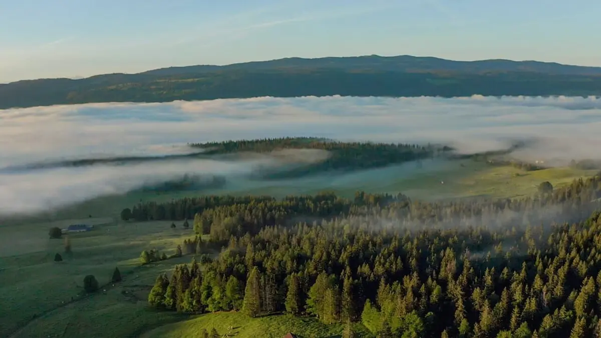 La Suisse sauvage Le parc naturel Jura vaudois