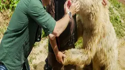 La Tanière, le zoo-refuge de l'espoir