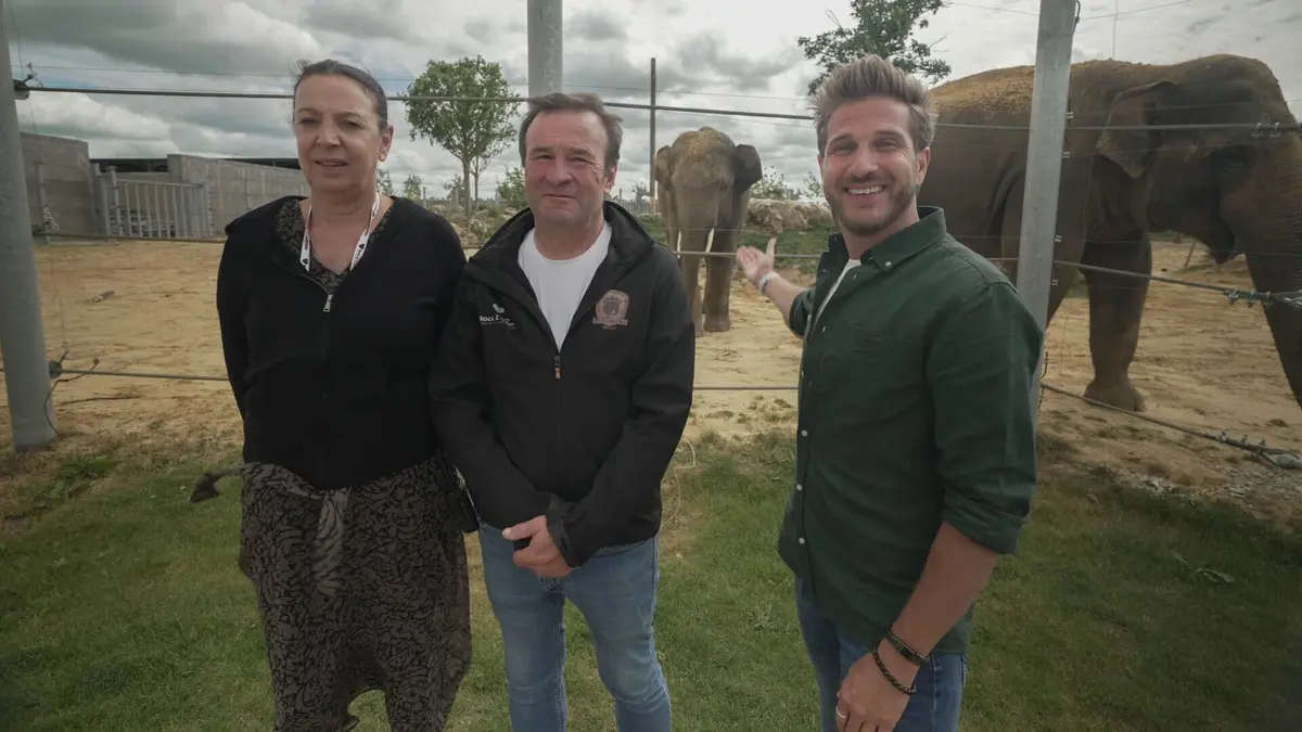 Visuel de La Tanière, le zoo-refuge de l'espoir