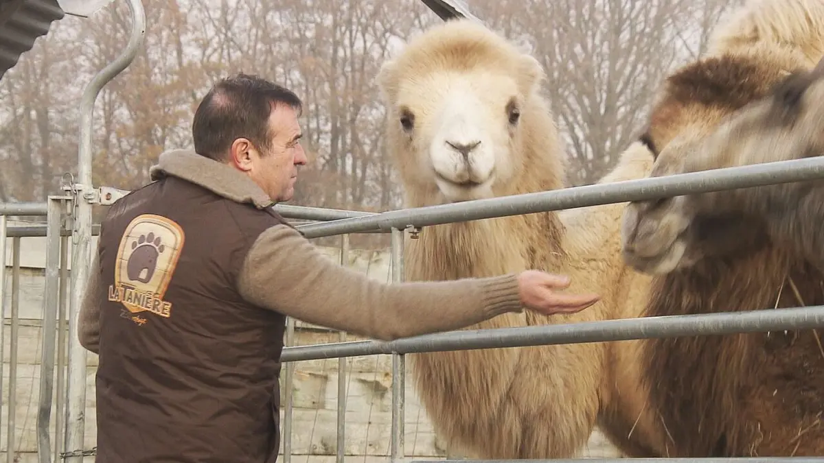 La Tanière, le zoo-refuge de l'espoir