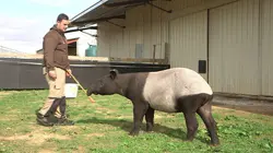 La Tanière, le zoo-refuge de l'espoir