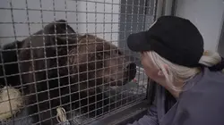 La Tanière, le zoo-refuge de l'espoir