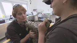 La Tanière, le zoo-refuge de l'espoir S02E03