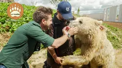 La Tanière, le zoo-refuge de l'espoir