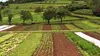 La Terre, bien commun