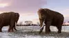 La terre des géants S01E04 Eléphants et rhinocéros : une cohabitation complexe